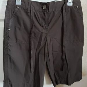 Ann Taylor Women's Brown Casual Shorts